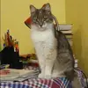 Отзыв от Эмилия Вишневская